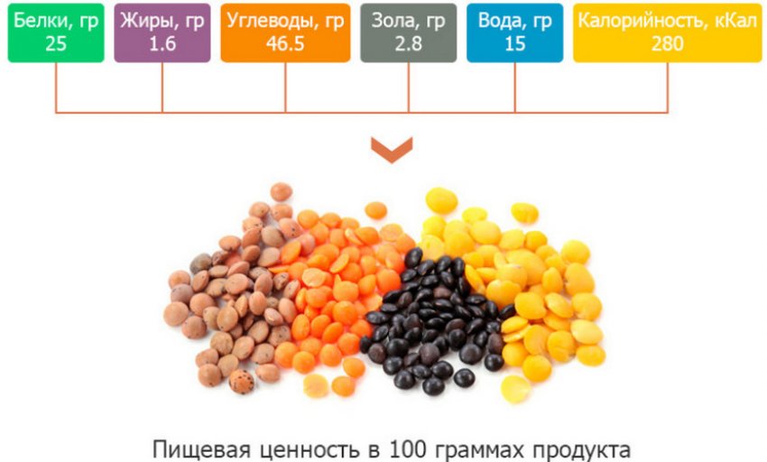 Что калорийнее горох или чечевица