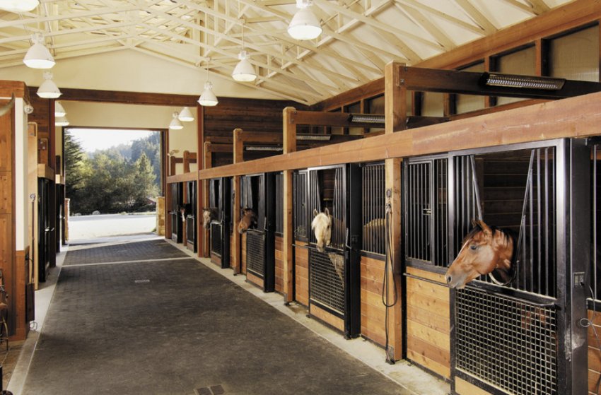 Утримання коней у стайні