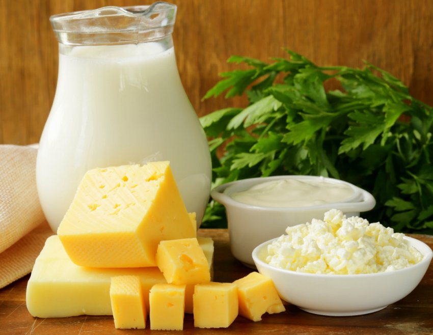 Молочники Башкортостану завершать літо на фестивальній ноті Молочники Башкортостану завершать літо на фестивальній ноті