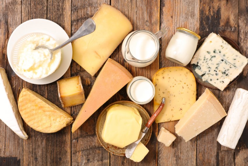 Молочники Башкортостану завершать літо на фестивальній ноті Молочники Башкортостану завершать літо на фестивальній ноті