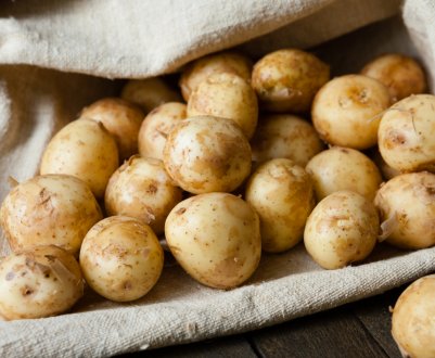 Башкирські селекціонери явили світу картопля з функцією «анти-гниль»