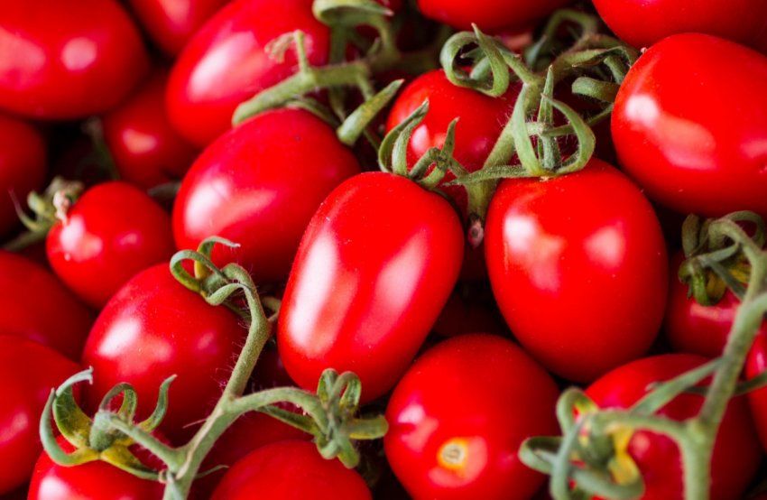 Мексиканські виробники томатів роблять США нове торгове пропозицію