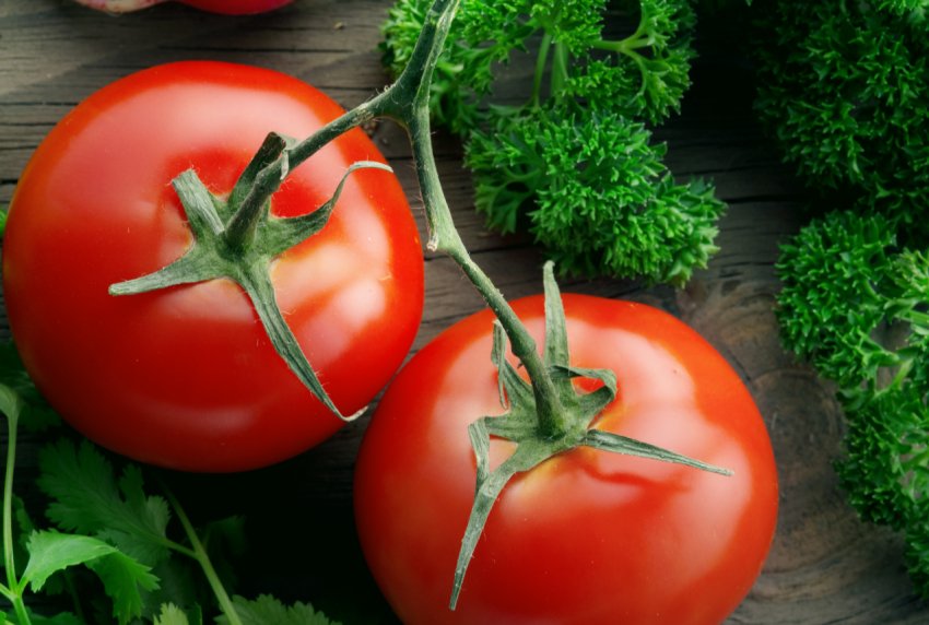 Мексиканські виробники томатів роблять США нове торгове пропозицію