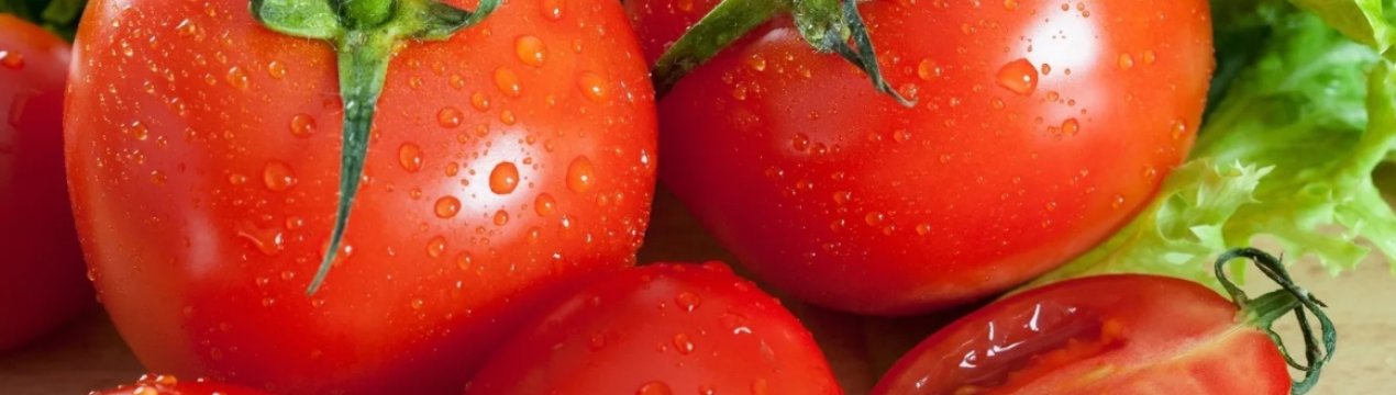 Мексиканські виробники томатів роблять США нове торгове пропозицію