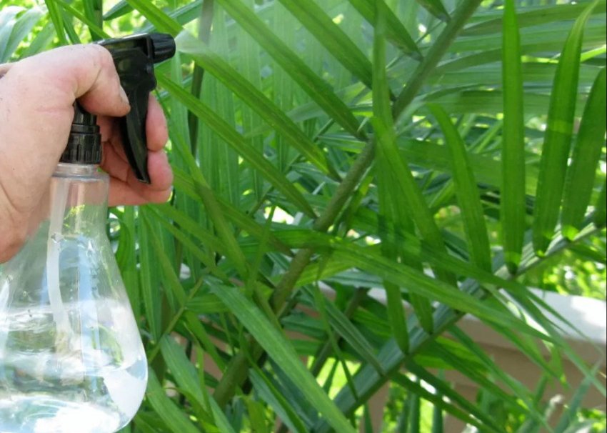 Обприскування ріки Обприскування ріки