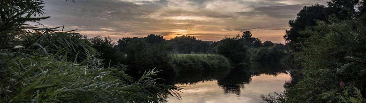 Паводок завдав сільському господарству Закарпаття збитків на 50 мільйонів гривень