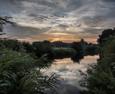 Паводок завдав сільському господарству Закарпаття збитків на 50 мільйонів гривень