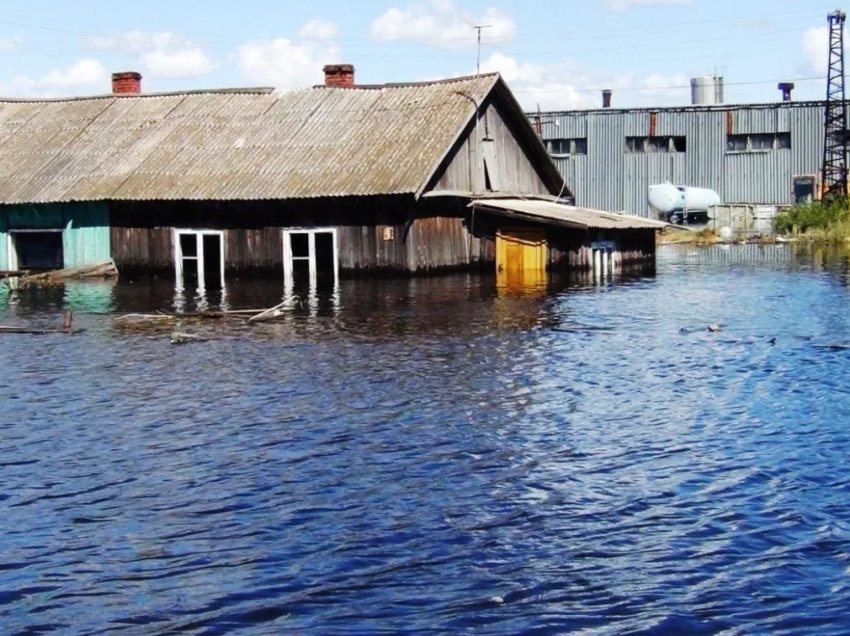 Паводок завдав сільському господарству Закарпаття збитків на 50 мільйонів гривень