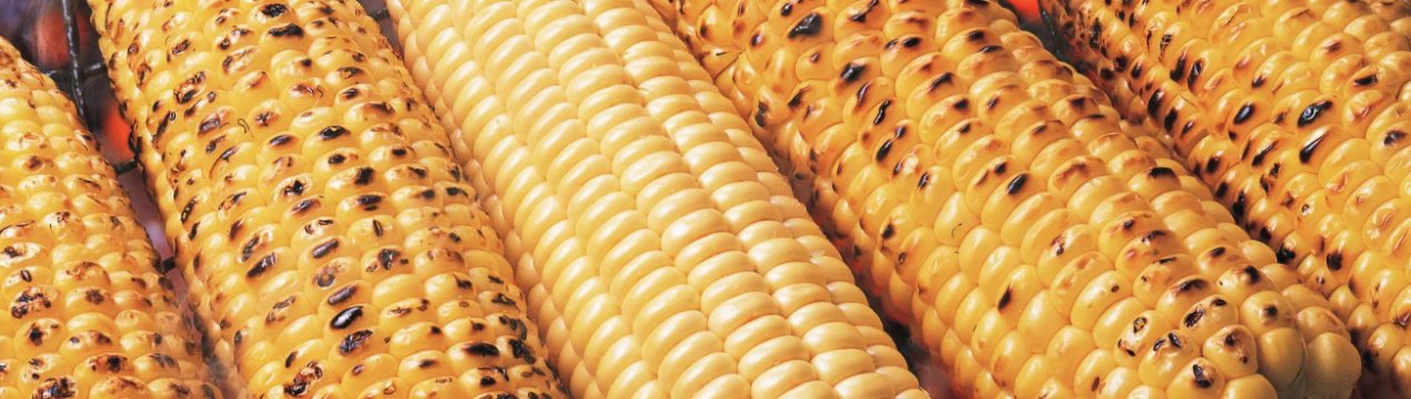 У новому сезоні Україна зможе експортувати близько 27 мільйонів тонн кукурудзи