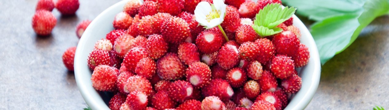 Врожай тепличних овочів і ягід Закарпаття знищений практично повністю