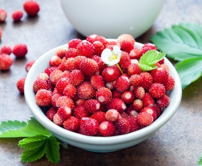 Врожай тепличних овочів і ягід Закарпаття знищений практично повністю 