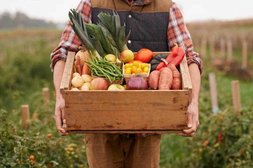 В Україні була підписана перша міжнародна аграрна розписка