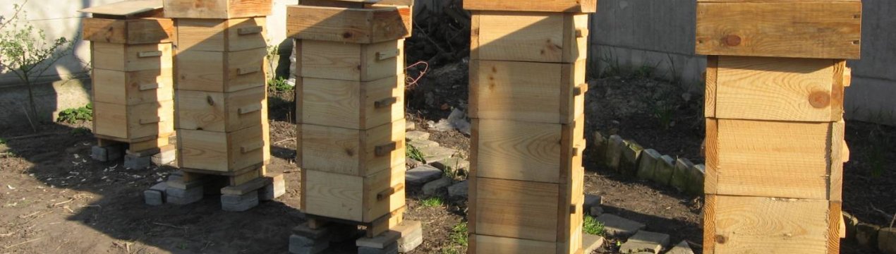 Вулик абата Варрэ