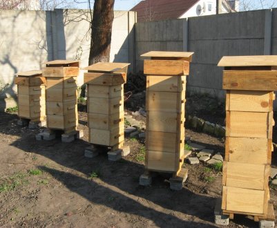 Вулик абата Варрэ