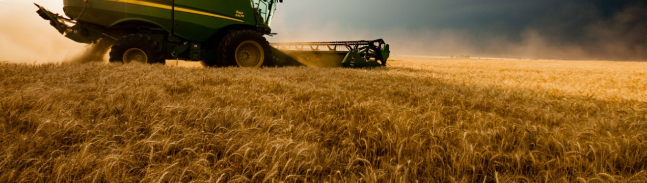 Півтора мільярда рублів повинні «підбадьорити» кавказьких аграріїв-новаторів