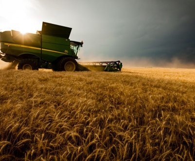 Півтора мільярда рублів повинні «підбадьорити» кавказьких аграріїв-новаторів