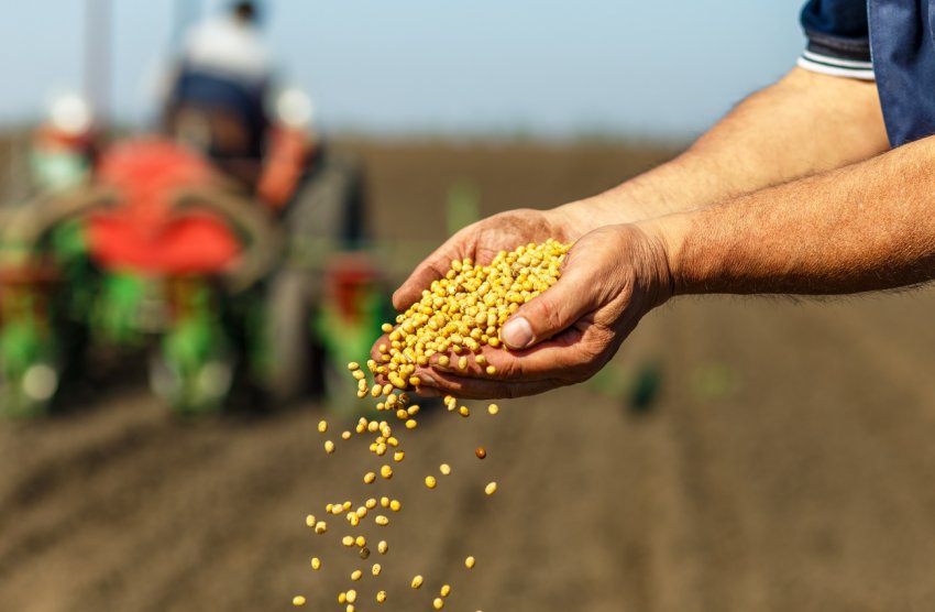 Півтора мільярда рублів повинні «підбадьорити» кавказьких аграріїв-новаторів