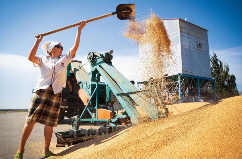 Півтора мільярда рублів повинні «підбадьорити» кавказьких аграріїв-новаторів