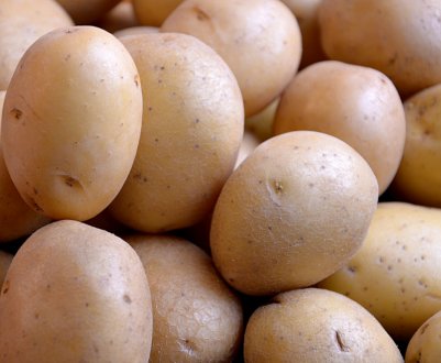 Ринок картоплі Нової Зеландії досяг досить солідною річної вартості