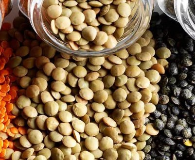 Сочевиця — одна з бобових: зовнішній вигляд, характеристики