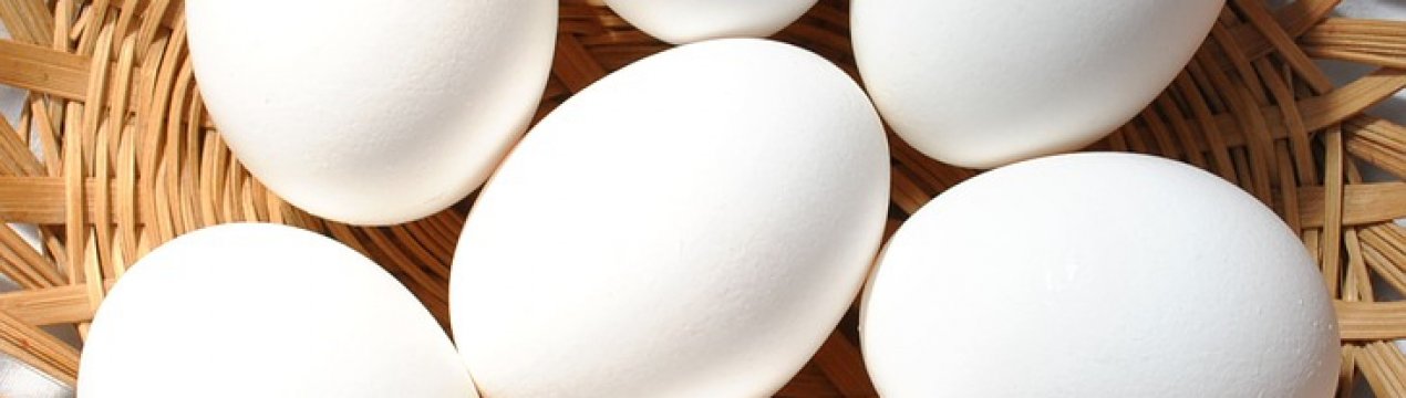 Український агрохолдинг «Авангард» почав випуск рідких яєчних продуктів з добавками