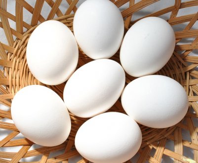 Український агрохолдинг «Авангард» почав випуск рідких яєчних продуктів з добавками