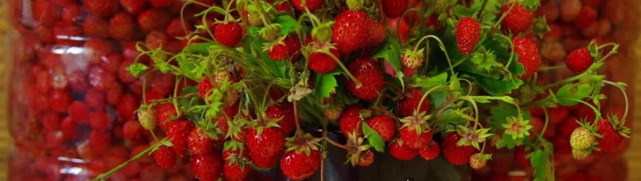 Фермери Херсонської області експортують полуницю і картоплю в Білорусь з допомогою агрегаторів