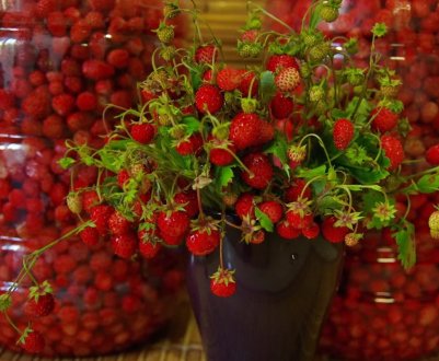 Фермери Херсонської області експортують полуницю і картоплю в Білорусь з допомогою агрегаторів