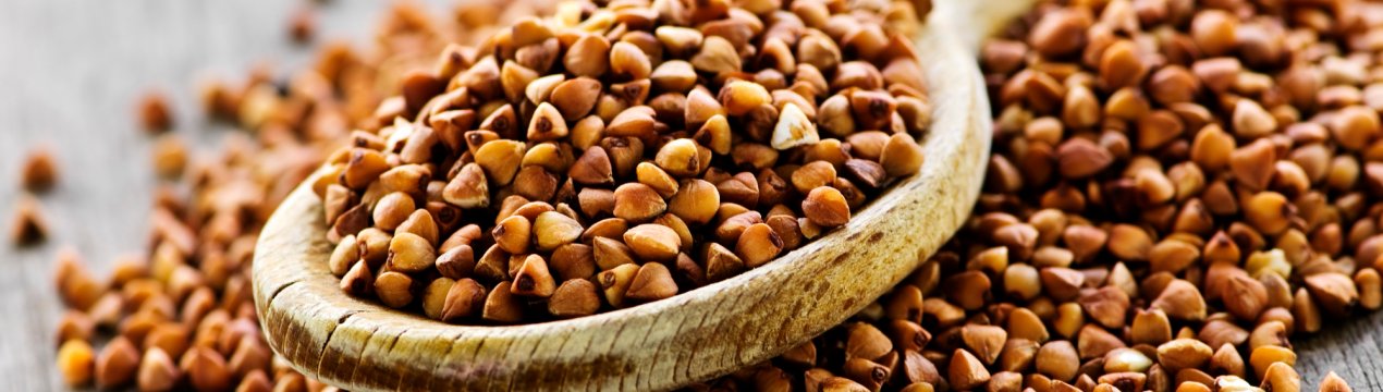 На липецких просторах освоять виробництво гречки-ядриці