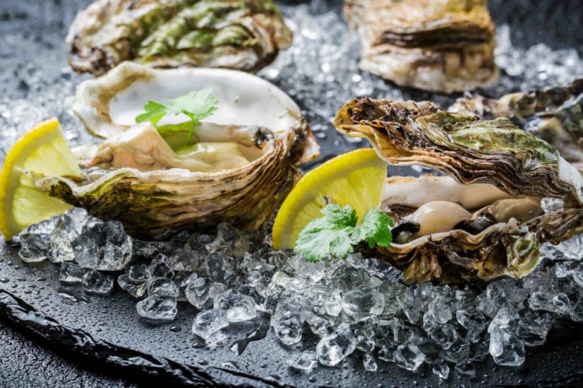 Херсонська область здатна нагодувати устрицями Україну і Європу Херсонська область здатна нагодувати устрицями Україну і Європу