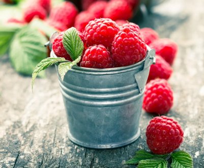  Можна малину годуючій мамі