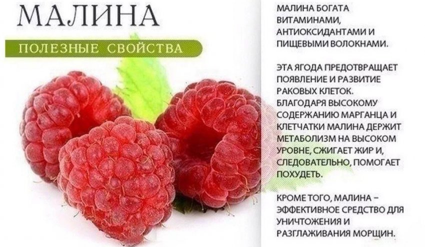 Можно ли кормящим отвар малины. 82598.ps7mgc.850. Можно ли кормящим отвар малины фото. Можно ли кормящим отвар малины-82598.ps7mgc.850. картинка Можно ли кормящим отвар малины. картинка 82598.ps7mgc.850. Весь контент iLive проверяется медицинскими экспертами, чтобы обеспечить максимально возможную точность и соответствие фактам.