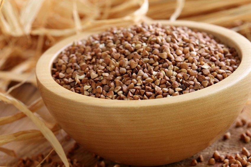 На липецких просторах освоять виробництво гречки-ядриці