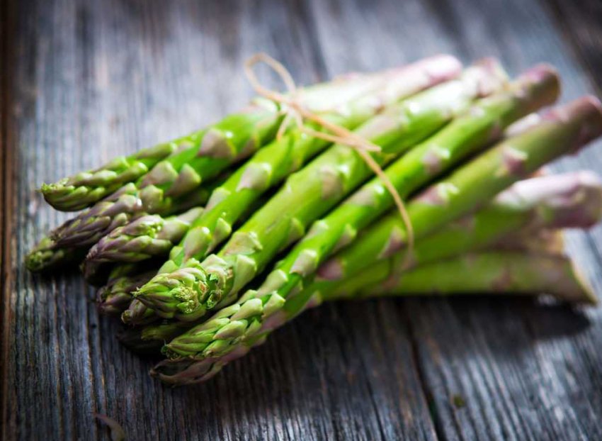 Осетинські фермери збирають перший урожай спаржі з дитячою цікавістю Осетинські фермери збирають перший урожай спаржі з дитячою цікавістю