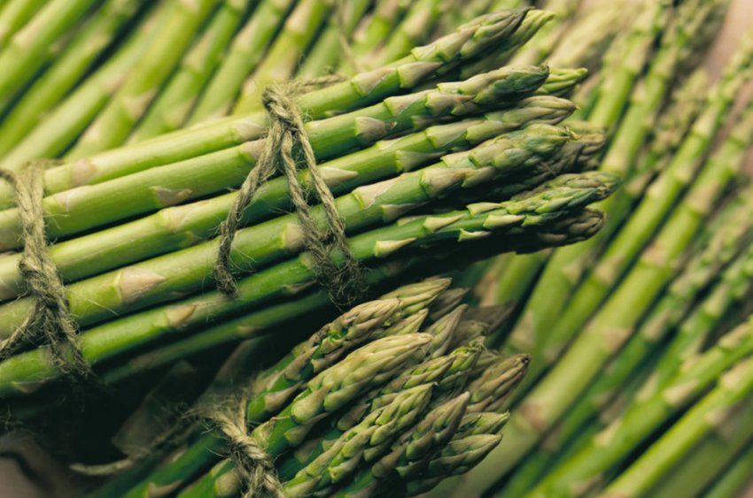 Осетинські фермери збирають перший урожай спаржі з дитячою цікавістю Осетинські фермери збирають перший урожай спаржі з дитячою цікавістю