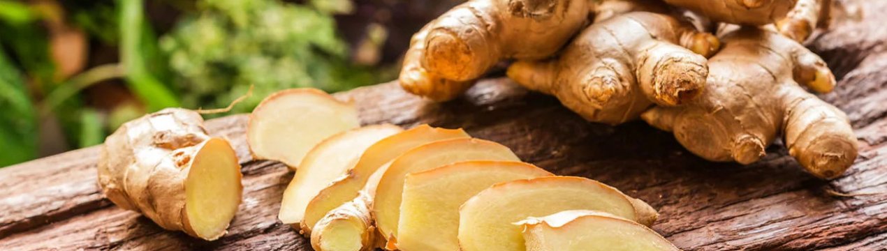 Імбирний корінь при печії: можна чи ні, як правильно вживати