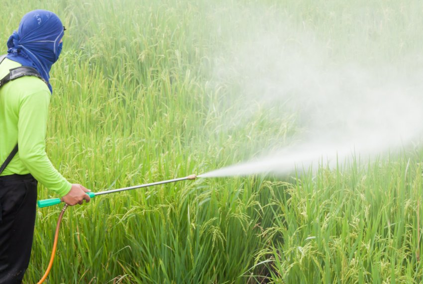 В Ірландії організовуються навчальні заходи по використанню пестицидів