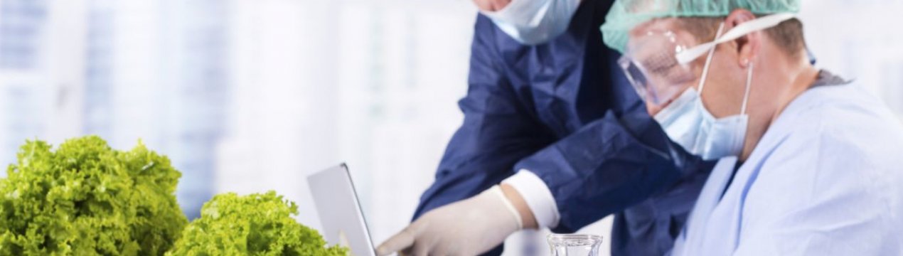 Британські фермери побоюються ослаблення інструментів захисту врожаю на тлі зростання населення