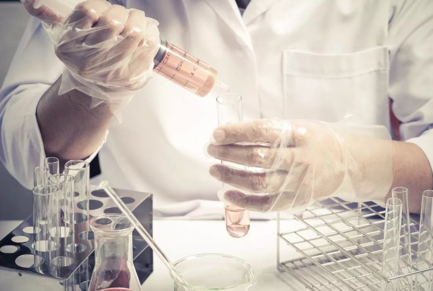 Британські фермери побоюються ослаблення інструментів захисту врожаю на тлі зростання населення Британські фермери побоюються ослаблення інструментів захисту врожаю на тлі зростання населення