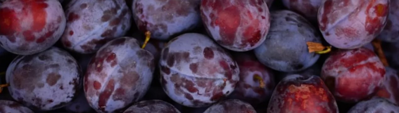 Рецепти заготовок сливового компоту на зиму