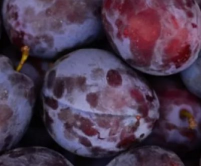 Рецепти заготовок сливового компоту на зиму