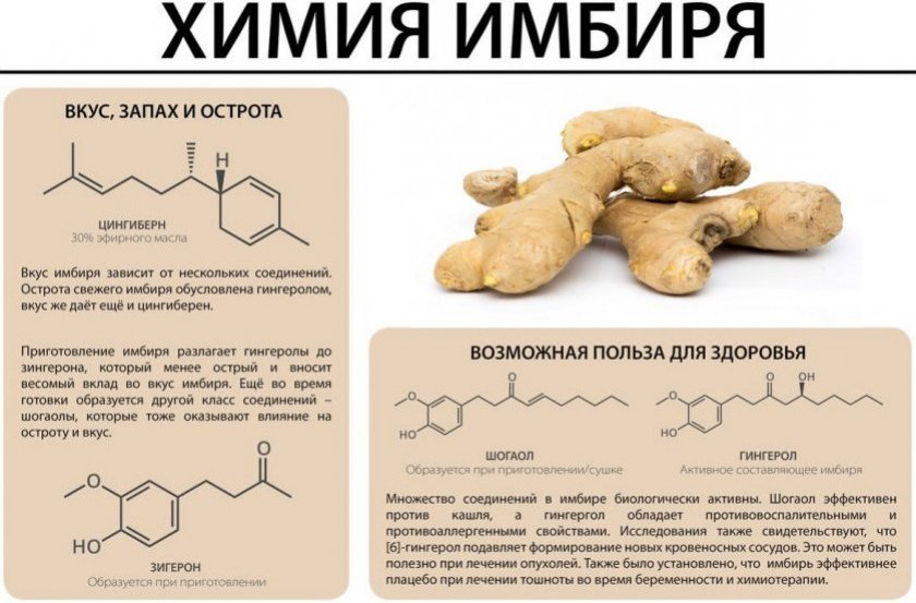 Состав имбиря