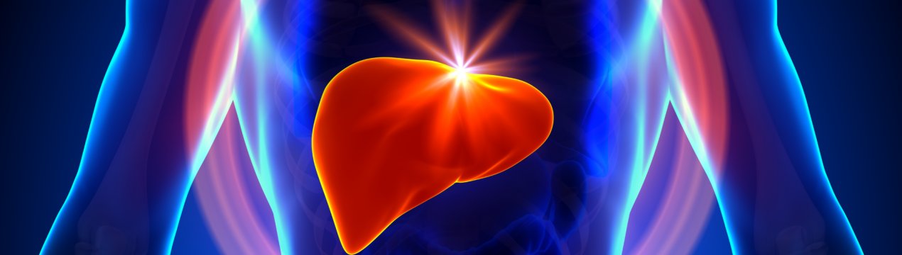 Застосування імбиру при хворобах печінки: особливості вживання