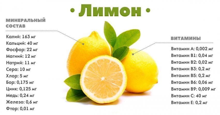 Имбирь лимон и мед польза thumbnail