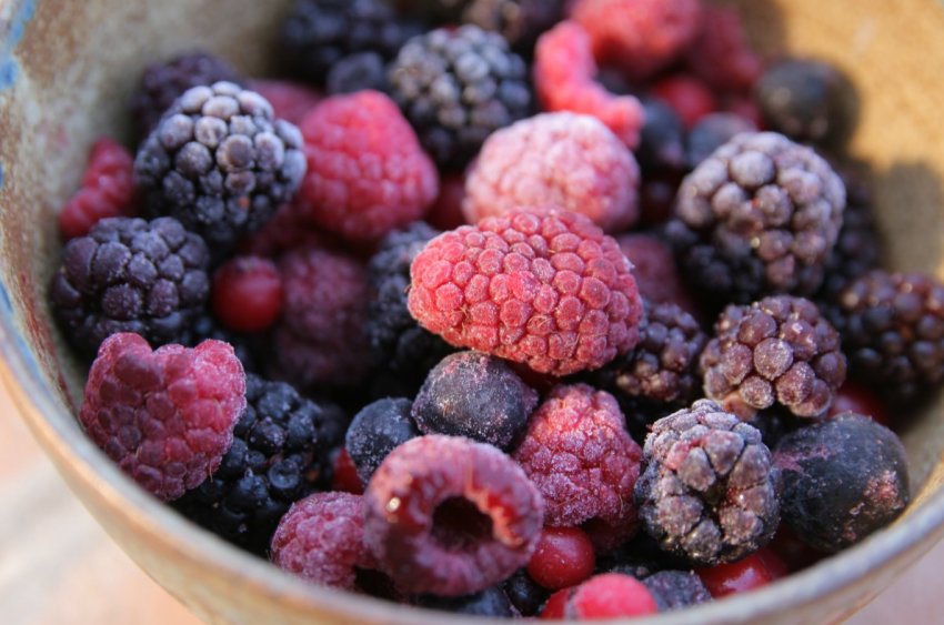 Київське підприємство «Агровесна» запускає холодильник на 200 тонн ягід