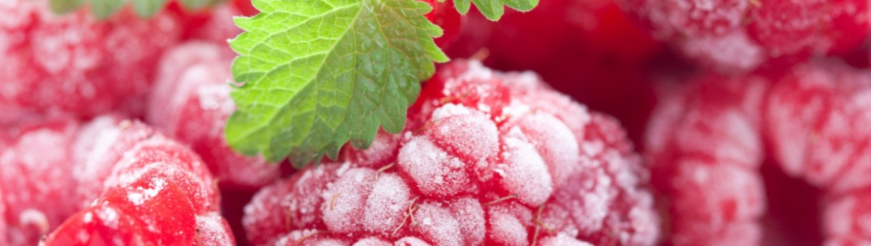 Київське підприємство «Агровесна» запускає холодильник на 200 тонн ягід