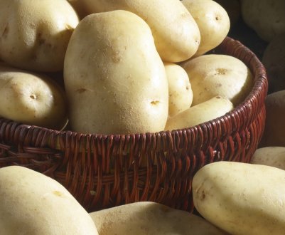 У Львівській області закінчується посадка картоплі