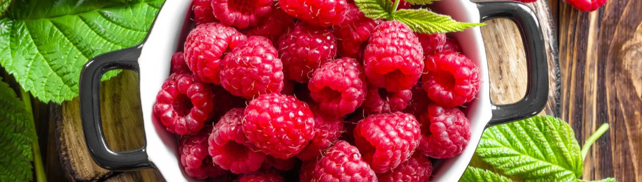 Українські виробники малини змушені застосовувати більше фунгіцидів