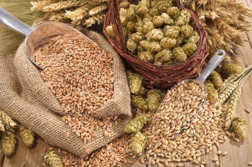 В цьому сезоні Україна може збільшити експорт зерна на 7,3 відсотка В цьому сезоні Україна може збільшити експорт зерна на 7,3 відсотка