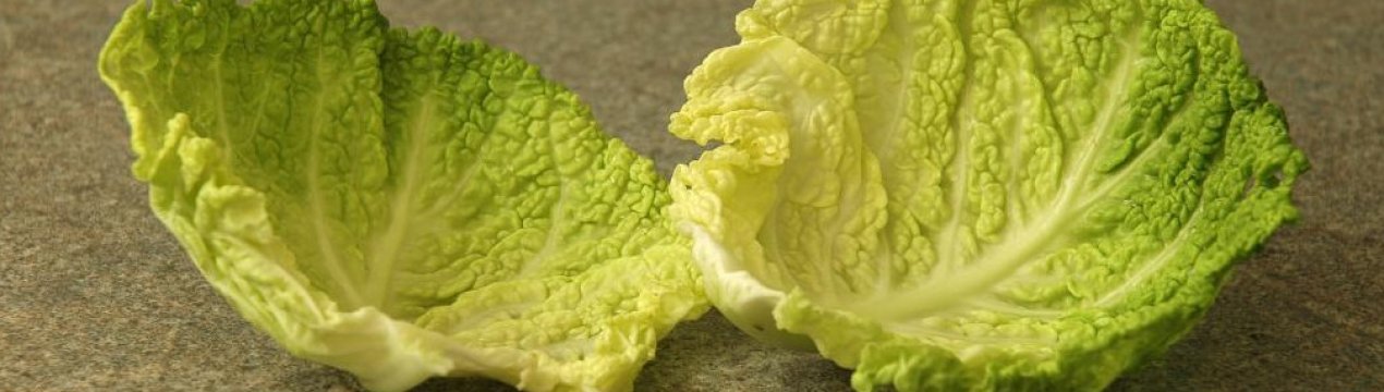 Компрес з капусти: способи застосування